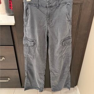 American Eagle Outfitters Dark Gray Cargo Pants